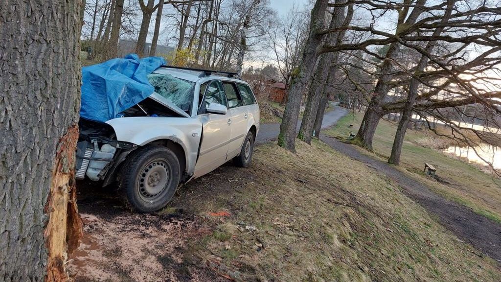 Volkswagen narazil na Jindřichohradecku do stromu. Tři lidé jsou mrtví